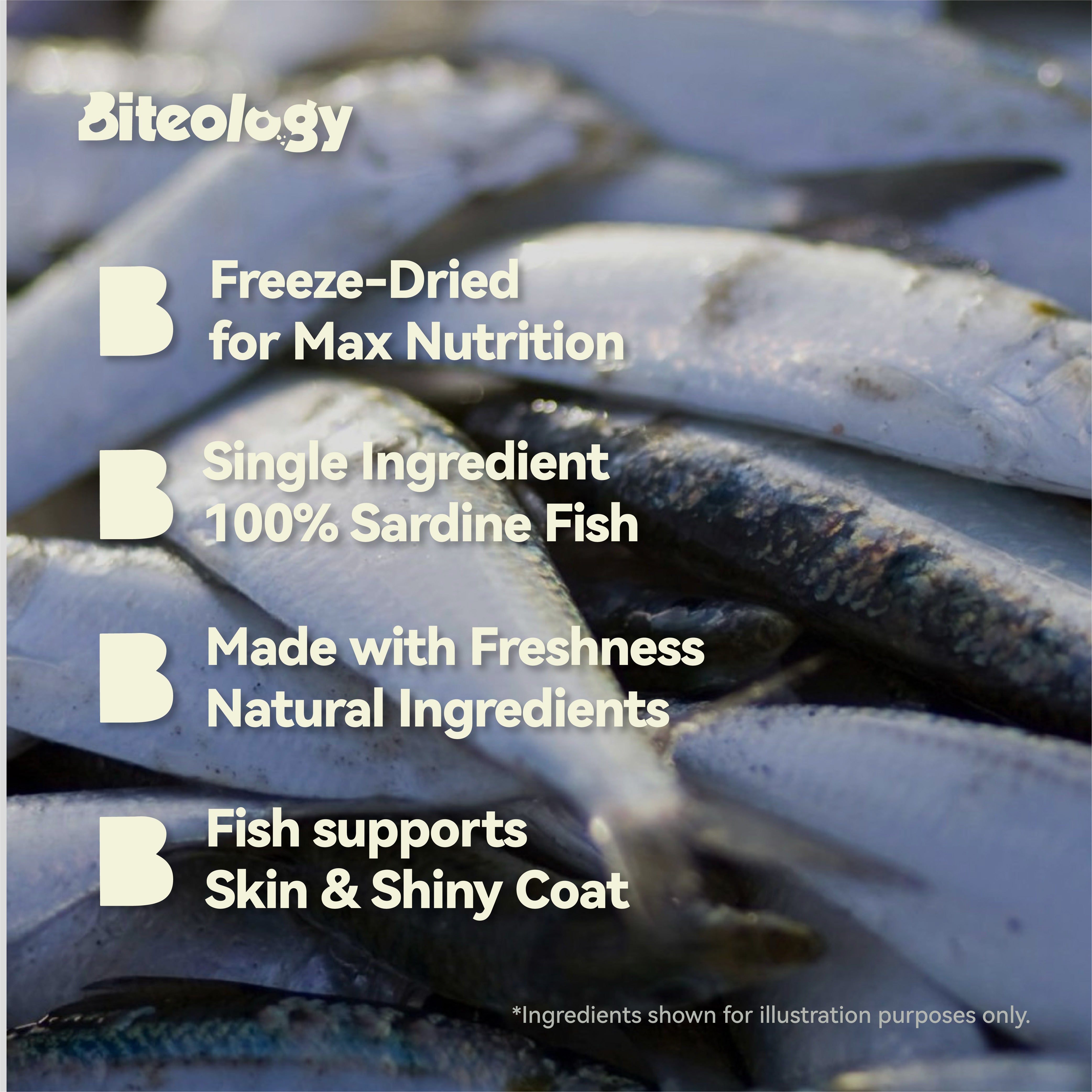 Are Sardines Good for Dogs? Benefits and How to Feed Them Safely