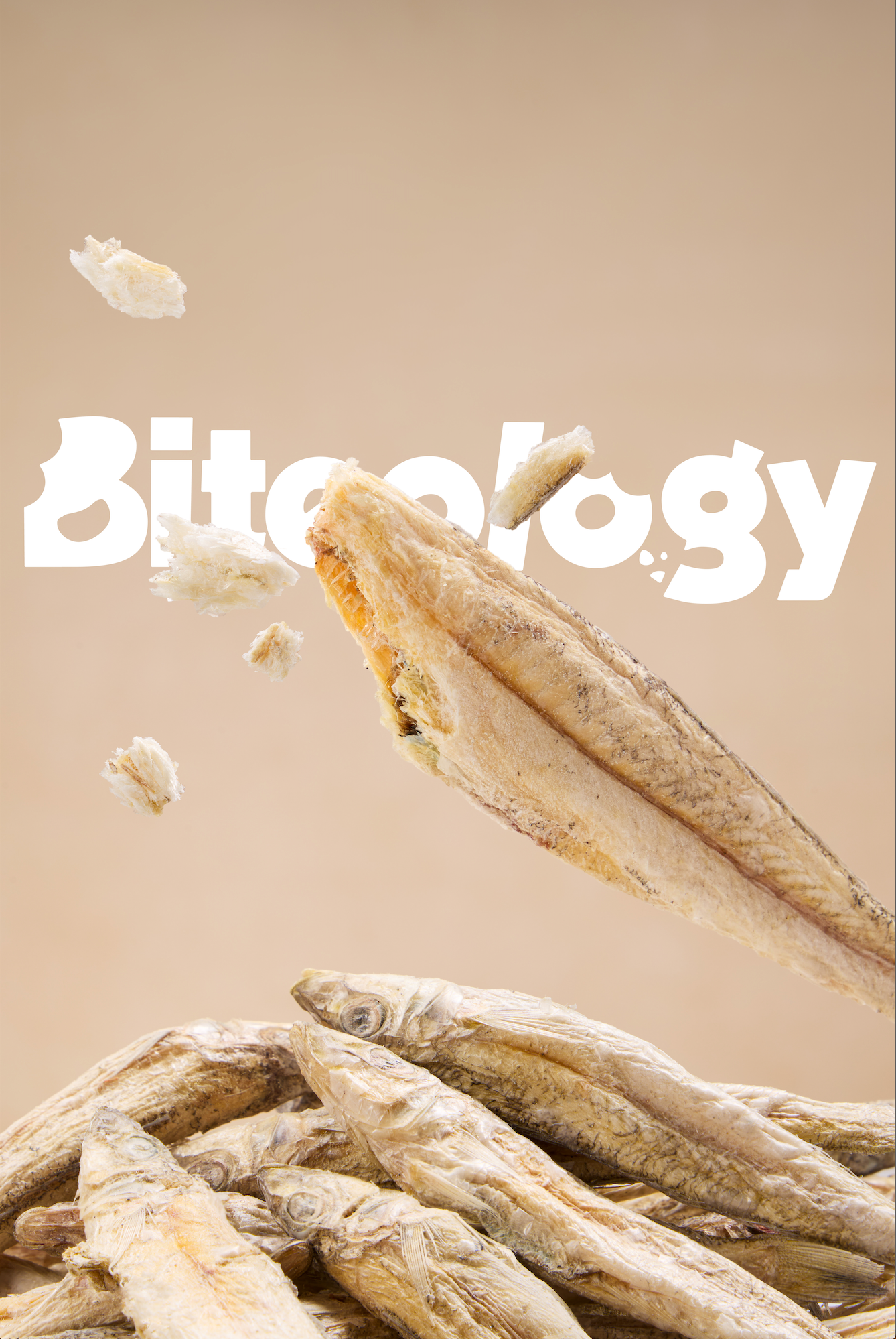 Biteology freeze-dried sardine treats, real photo