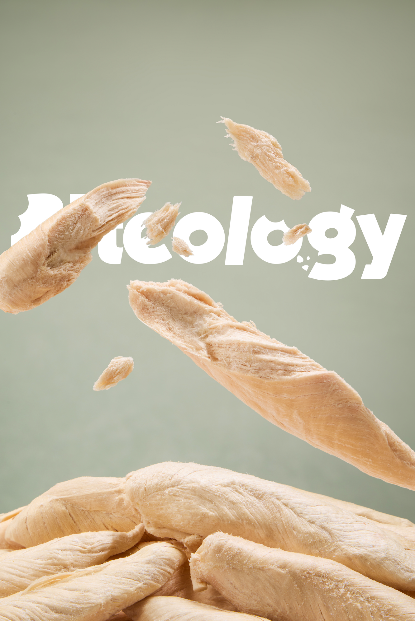 Biteology freeze-dried chicken breast treats, real photo