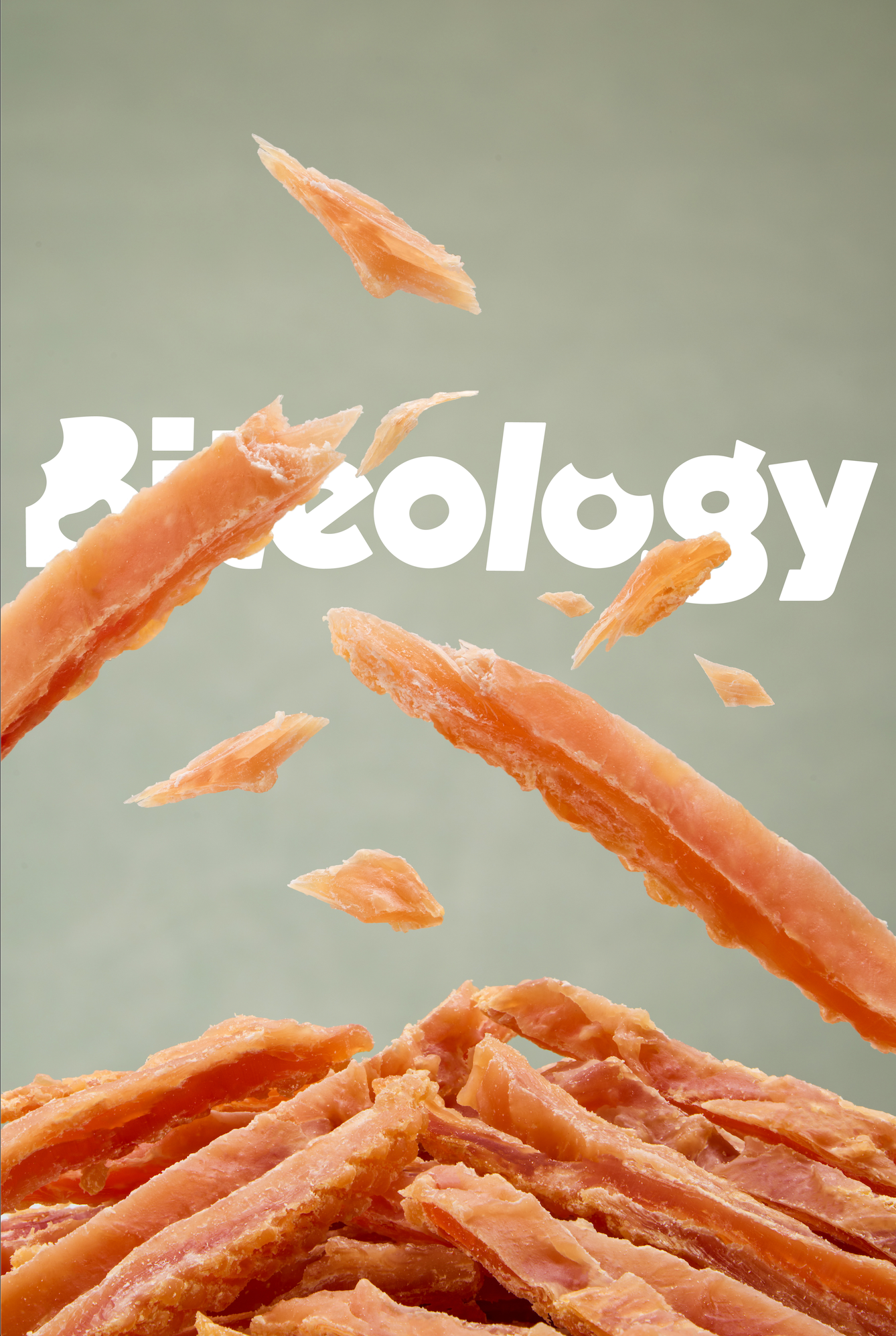Biteology chicken jerky strips, real photo